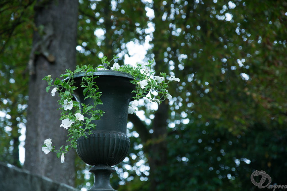 2019-aout-11-DSC08023