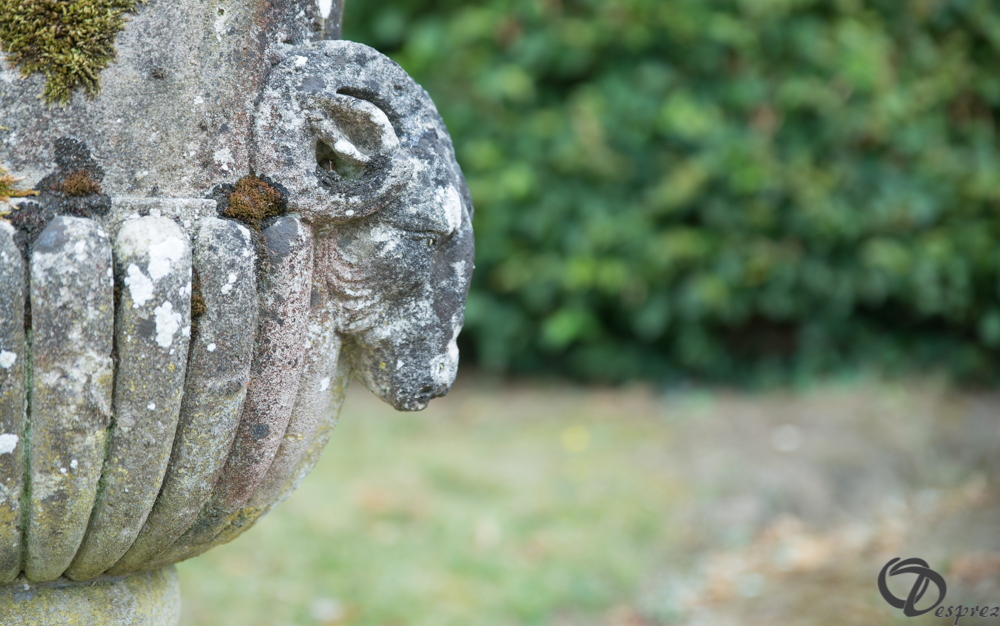 2019-aout-11-DSC08024