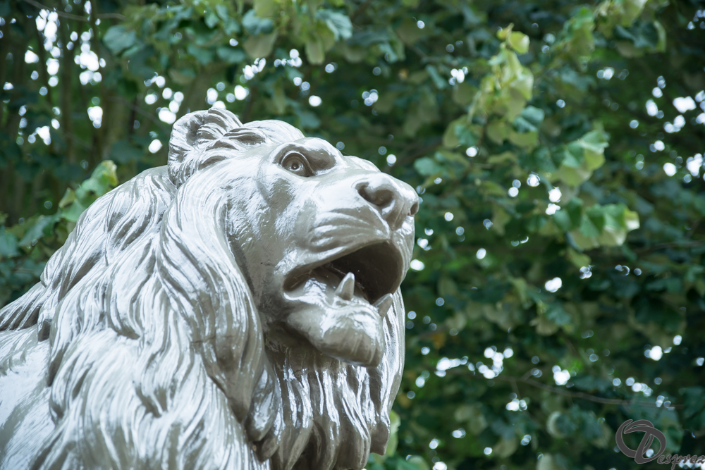 2019-aout-11-DSC08034