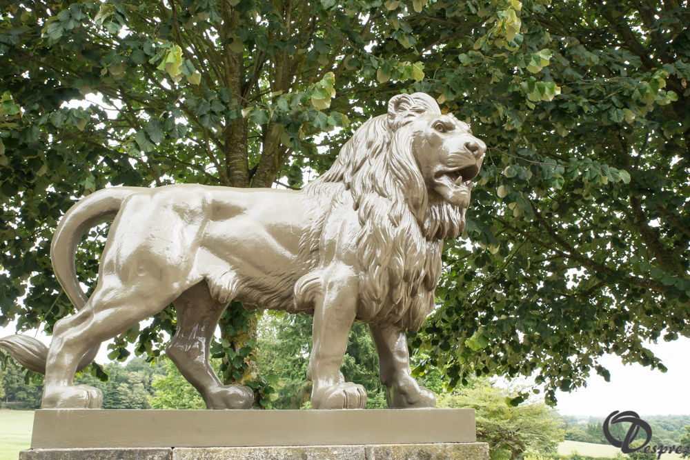 2019-aout-11-DSC08035