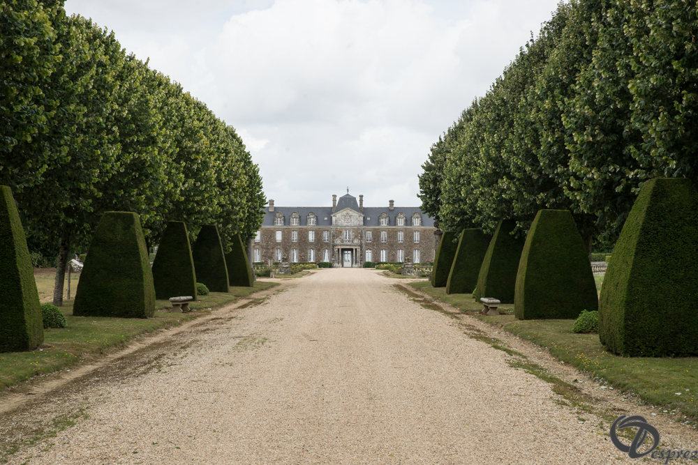 2019-aout-11-DSC08036