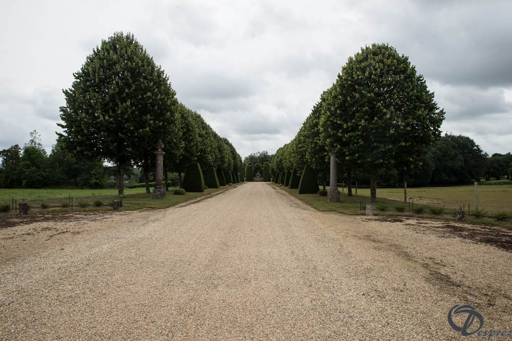 2019-aout-11-DSC08037