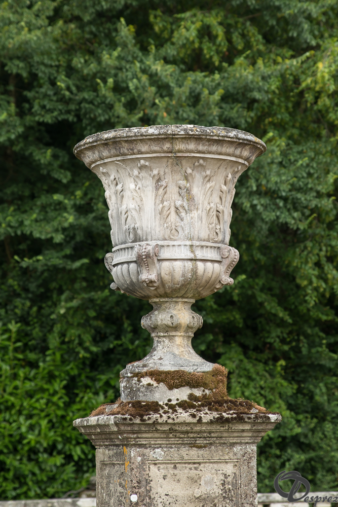 2019-aout-11-DSC08041