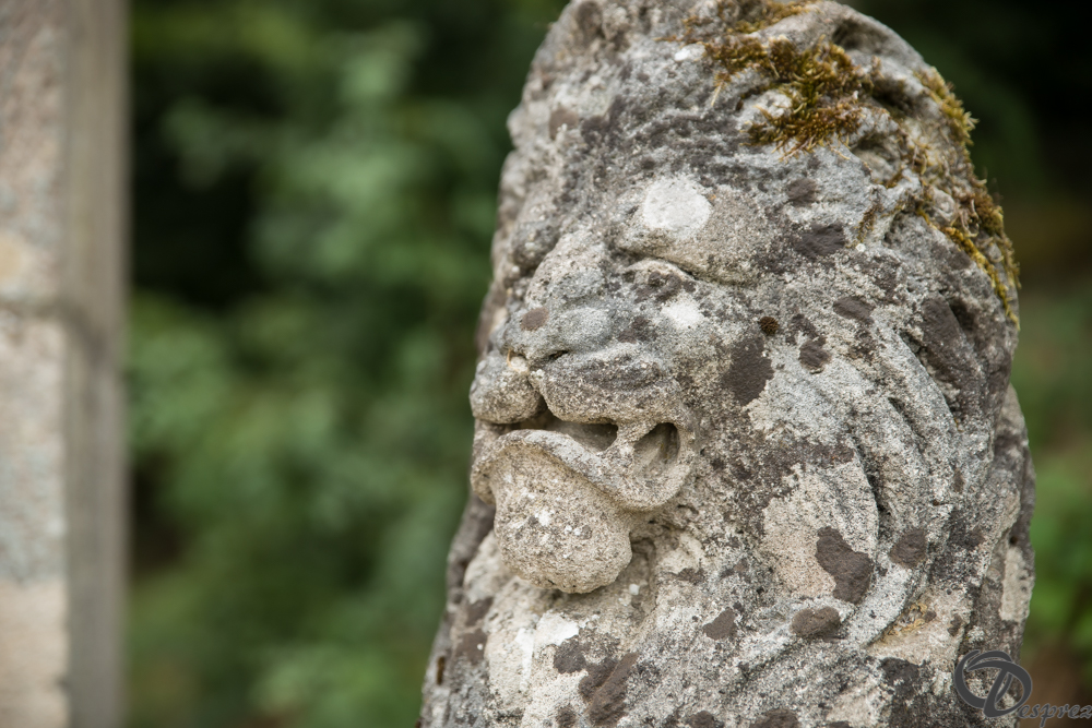 2019-aout-11-DSC08042