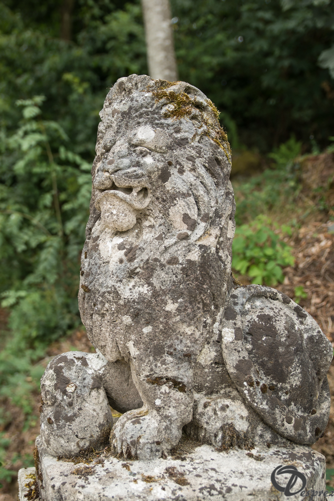 2019-aout-11-DSC08043