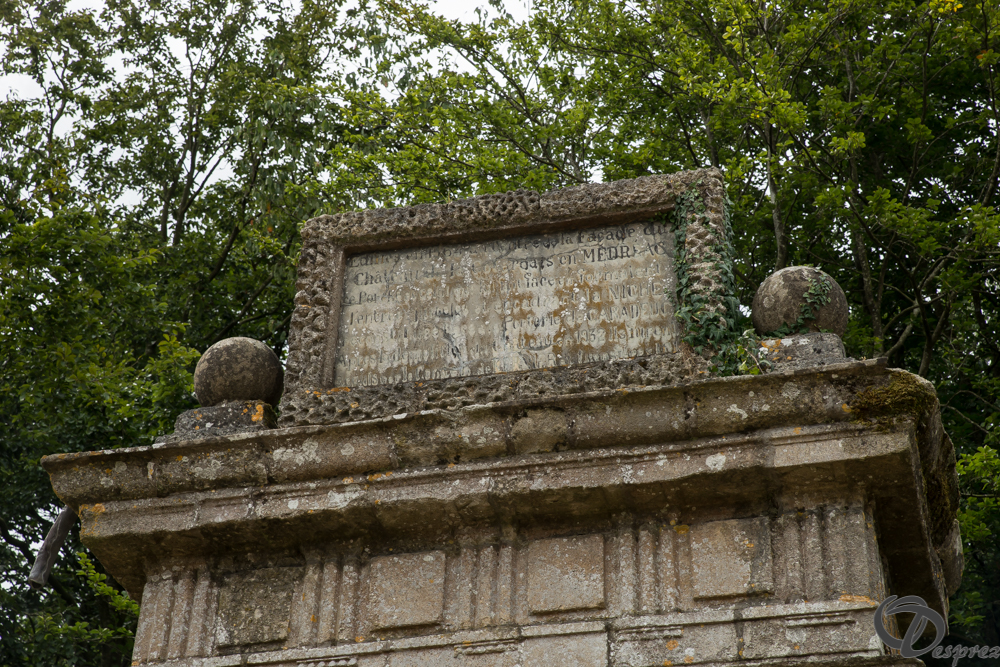 2019-aout-11-DSC08054