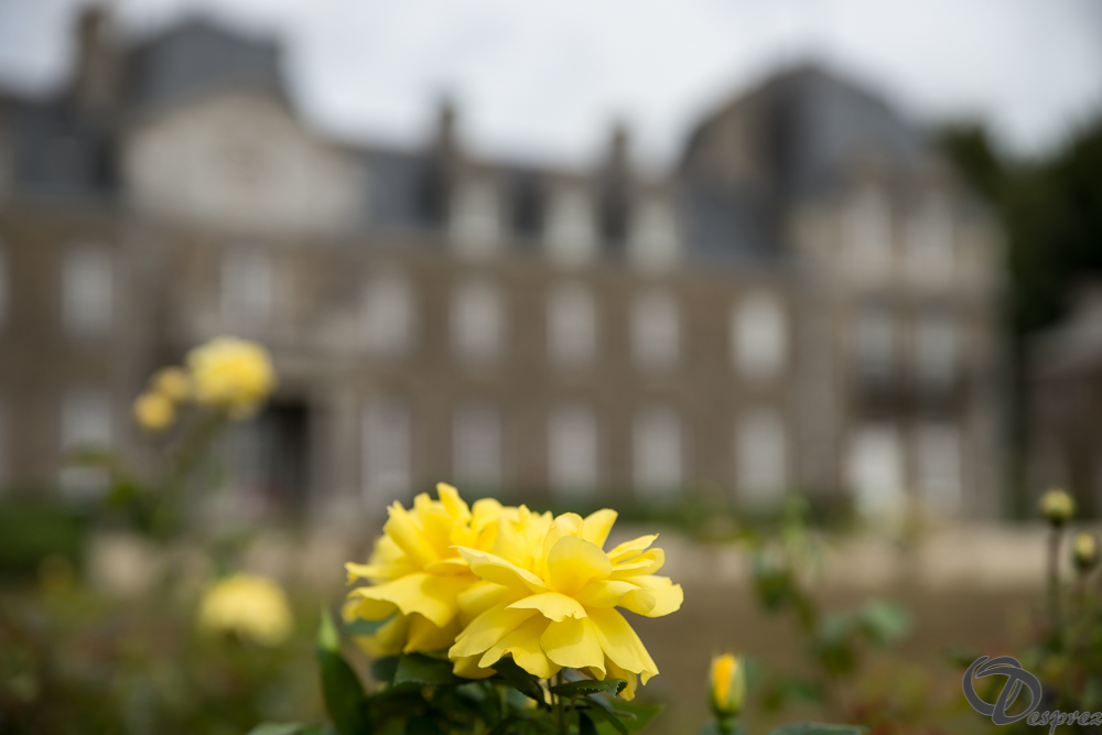 2019-aout-11-DSC08059