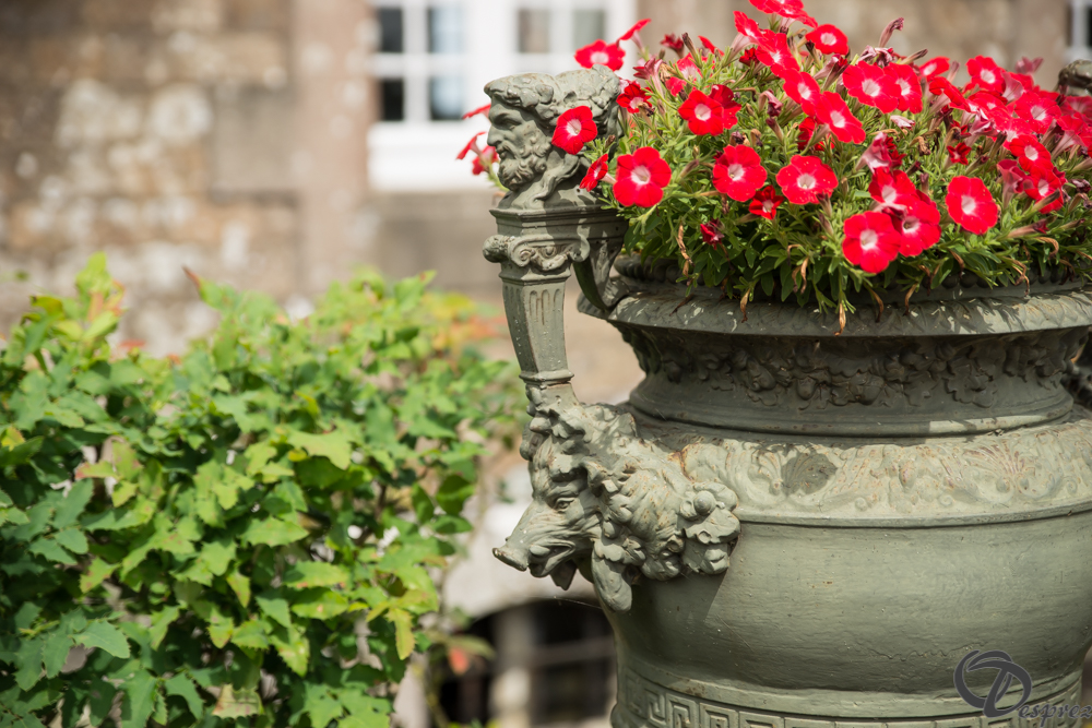 2019-aout-11-DSC08063