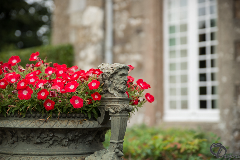 2019-aout-11-DSC08064