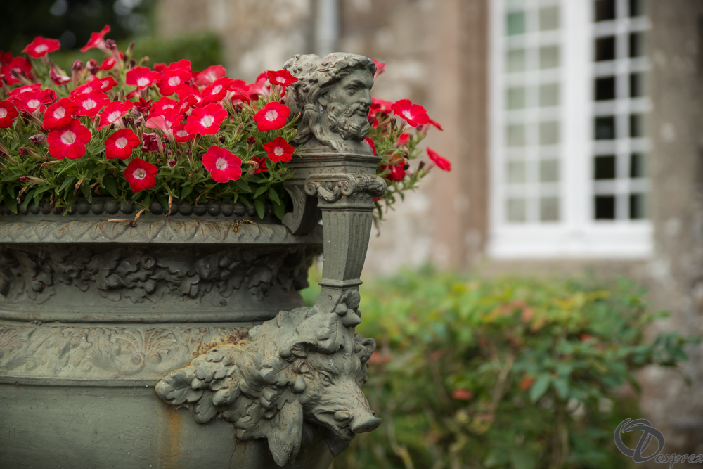 2019-aout-11-DSC08065