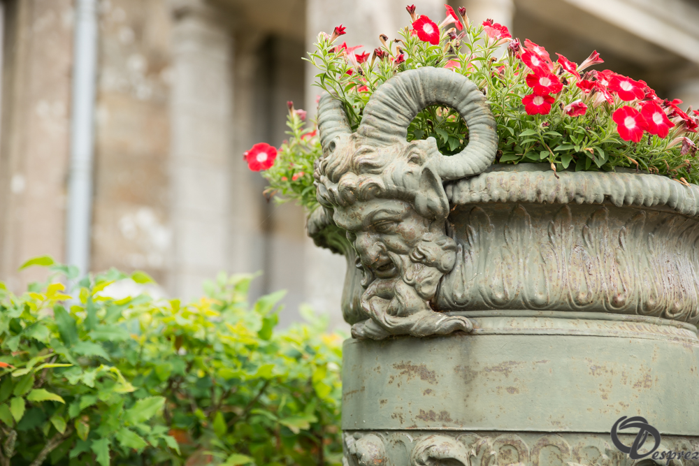 2019-aout-11-DSC08066