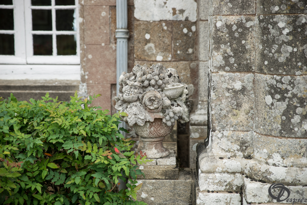 2019-aout-11-DSC08067