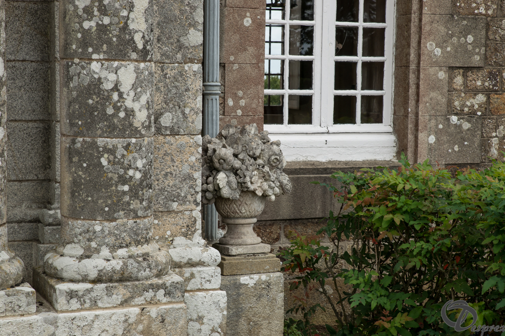 2019-aout-11-DSC08070