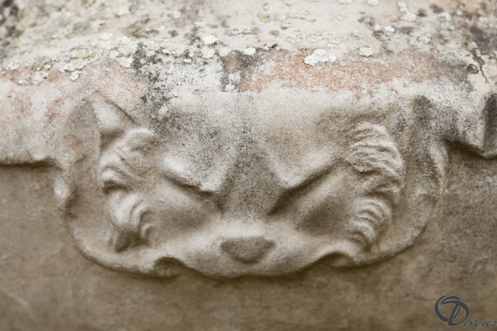 2019-aout-11-DSC08075-2