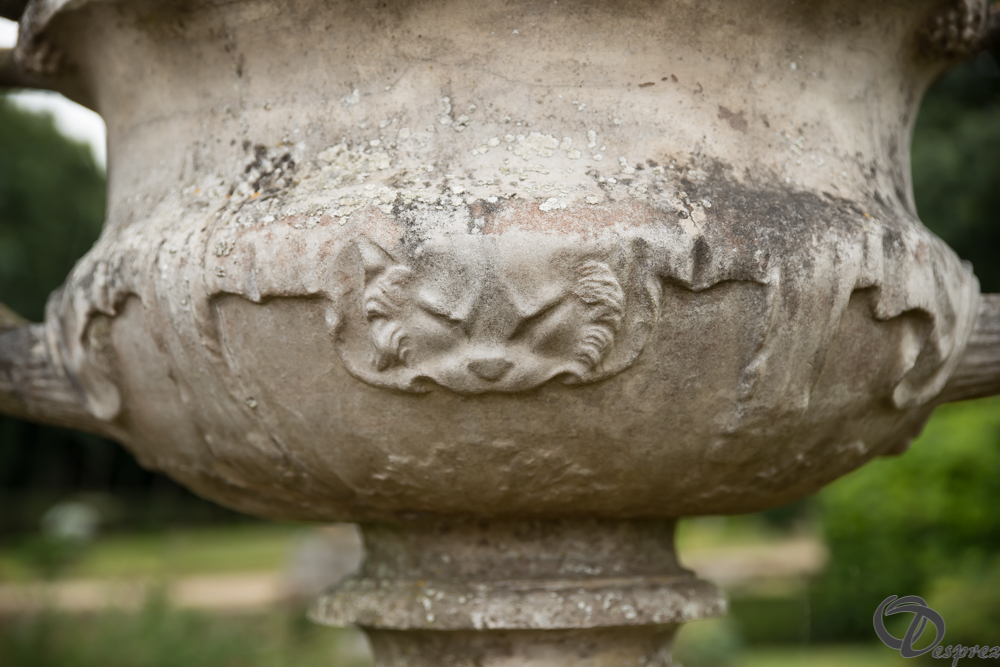 2019-aout-11-DSC08075