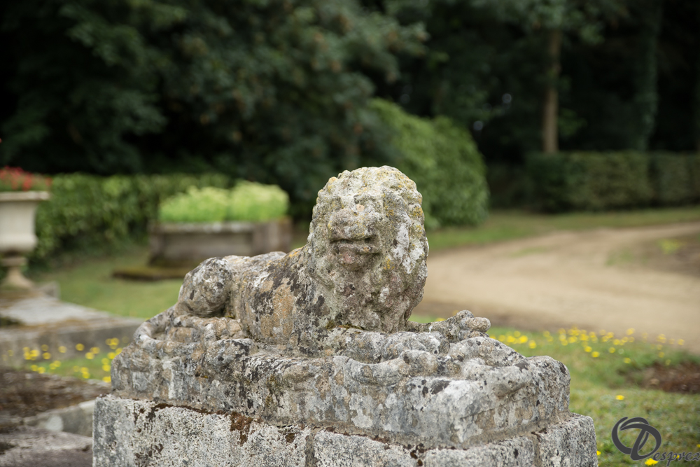 2019-aout-11-DSC08077