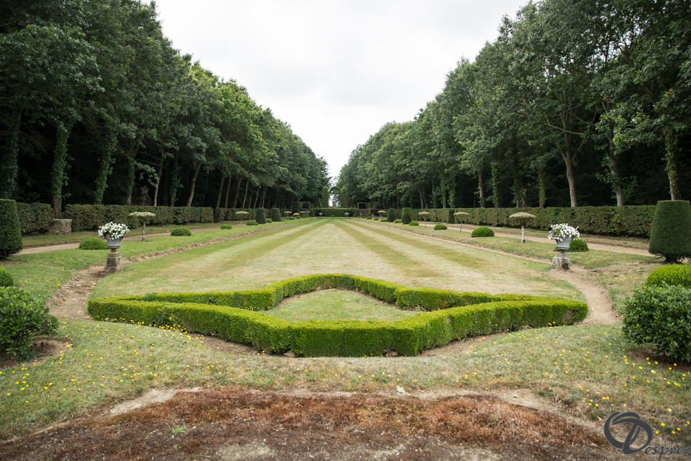 2019-aout-11-DSC08078