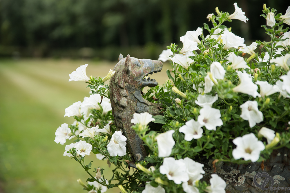 2019-aout-11-DSC08079