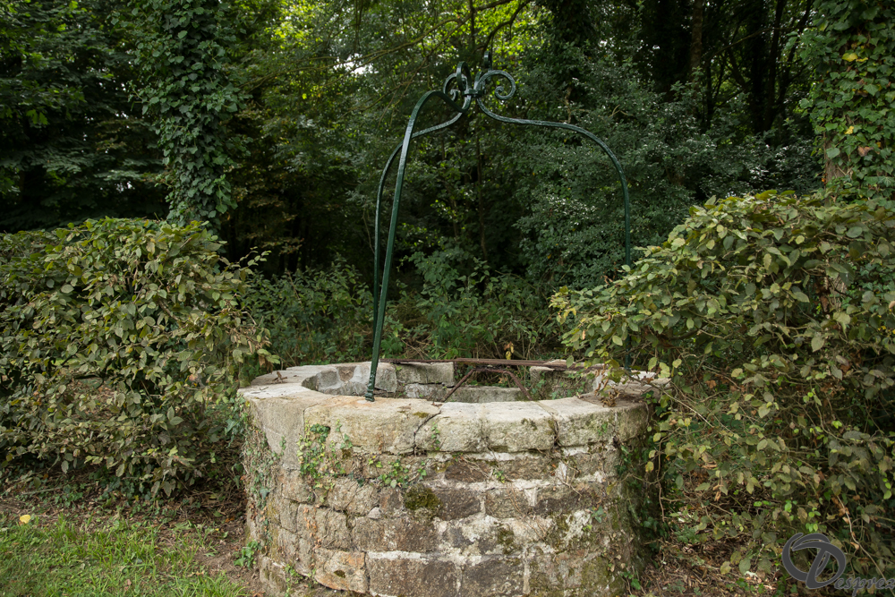 2019-aout-11-DSC08080