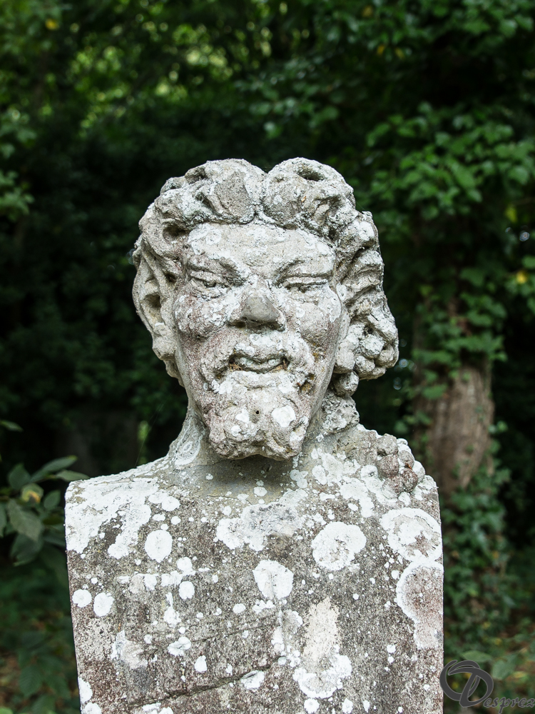 2019-aout-11-DSC08084-2