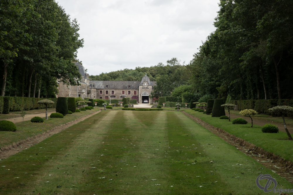 2019-aout-11-DSC08087