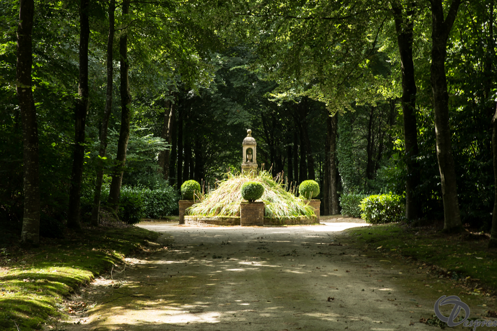 2019-aout-11-DSC08095