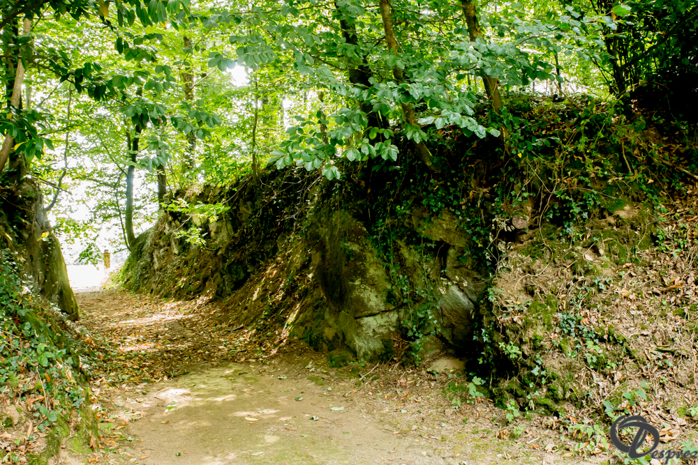 2019-aout-11-DSC08098