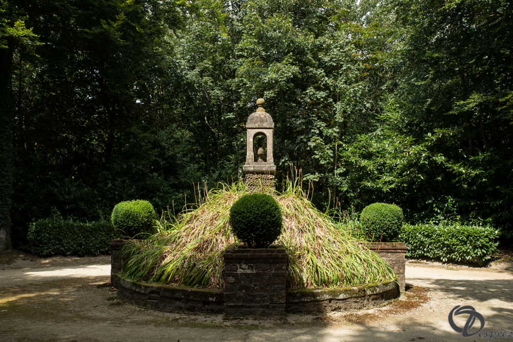 2019-aout-11-DSC08099