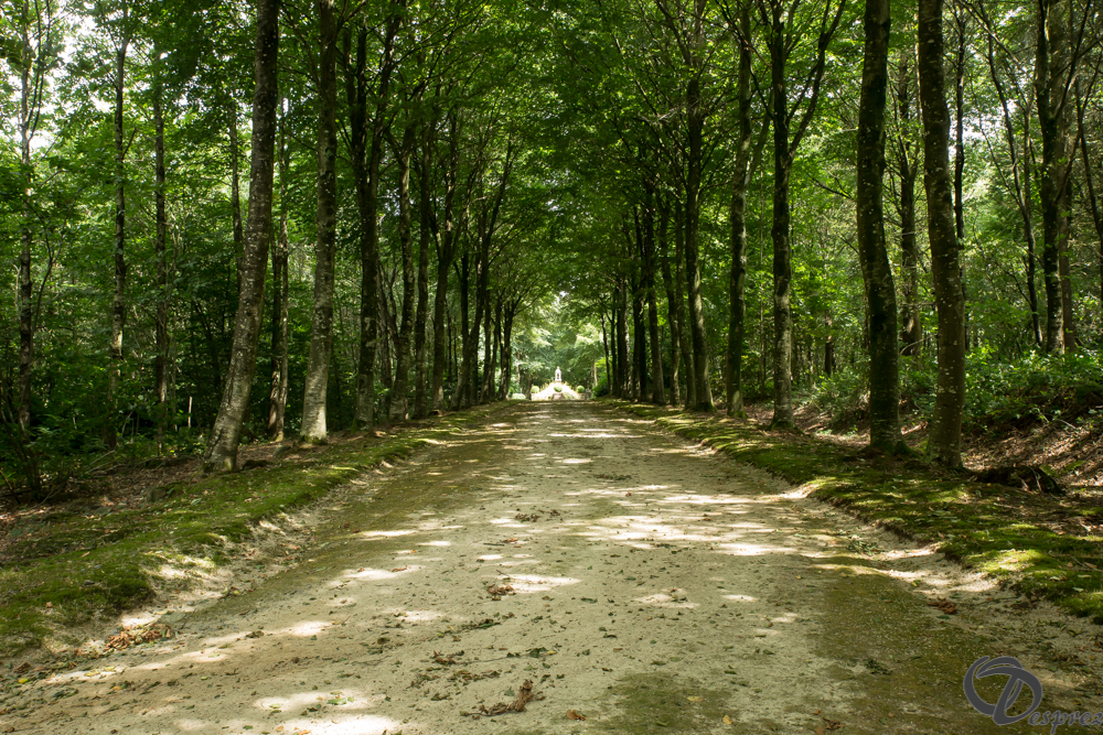 2019-aout-11-DSC08100