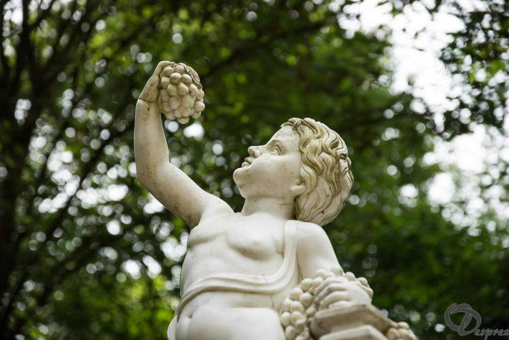 2019-aout-11-DSC08107