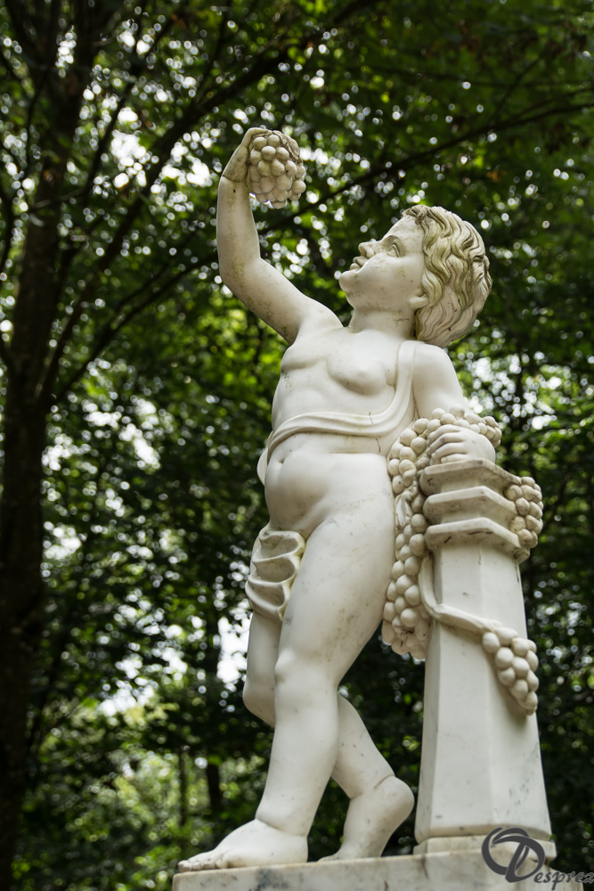 2019-aout-11-DSC08108