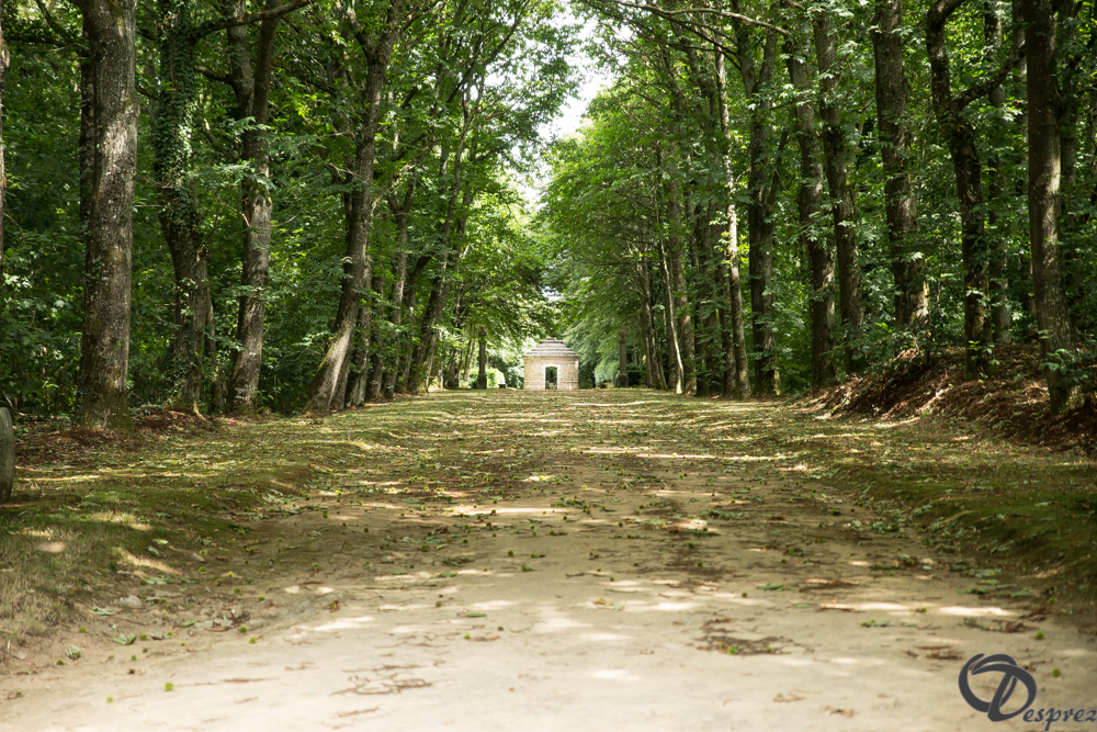 2019-aout-11-DSC08109