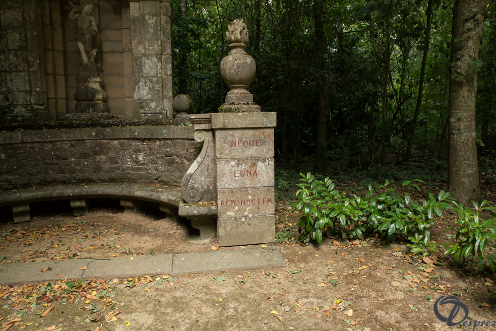 2019-aout-11-DSC08113