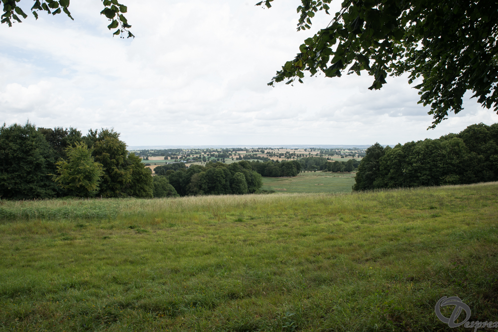 2019-aout-11-DSC08118