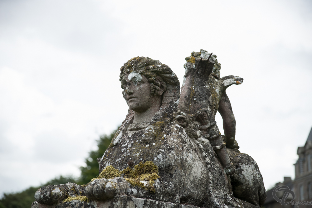 2019-aout-11-DSC08120