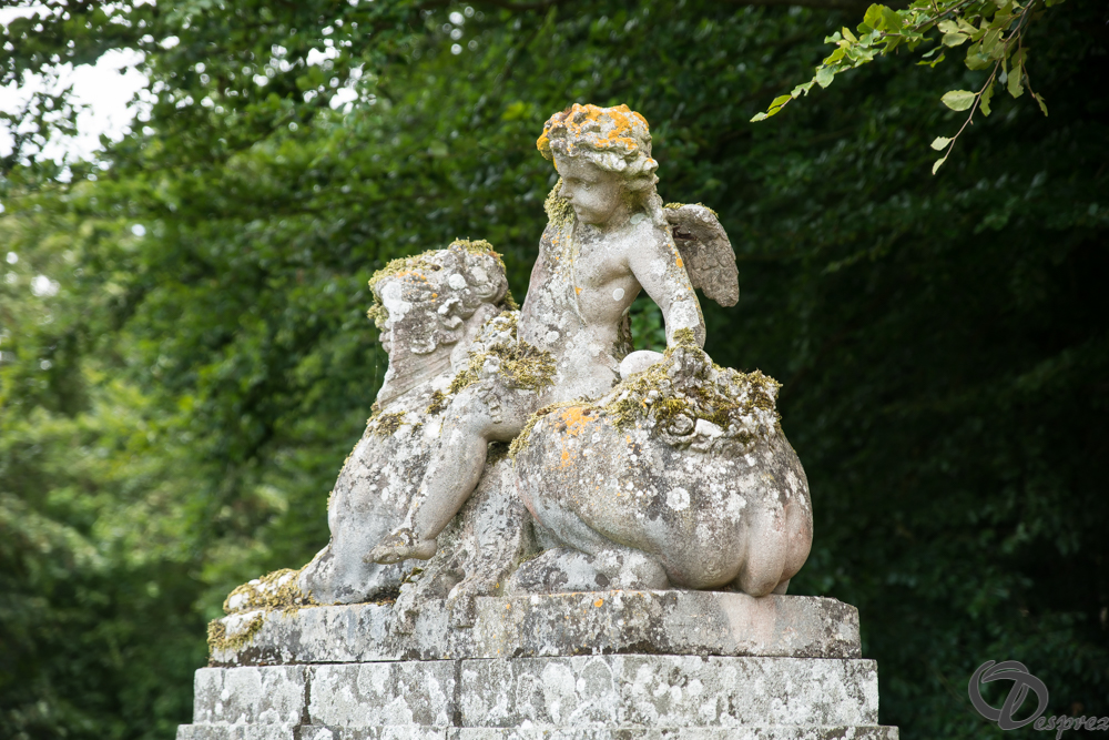 2019-aout-11-DSC08127