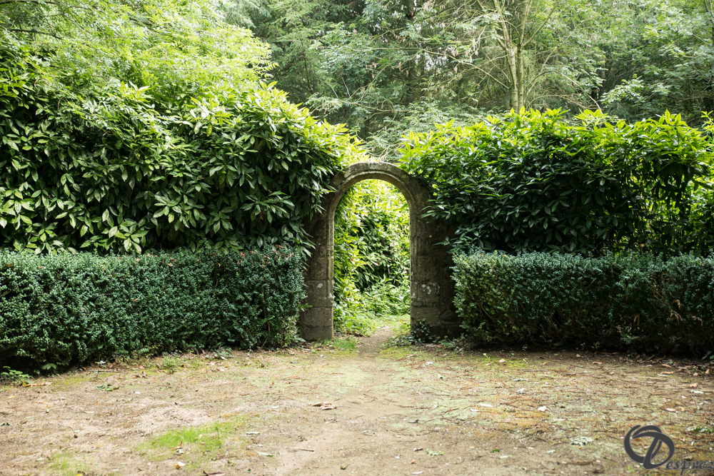 2019-aout-11-DSC08132