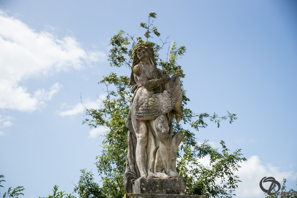 2019-aout-11-DSC08141