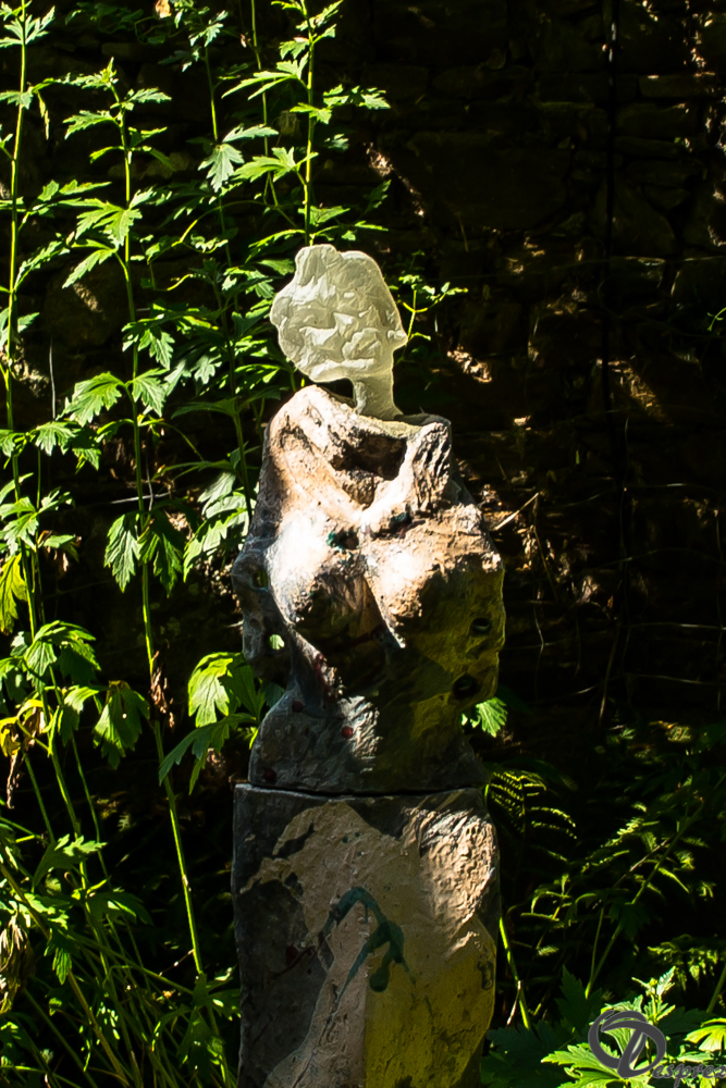 2019-aout-22-DSC08421-2