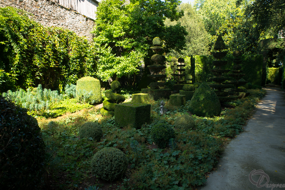 2019-aout-22-DSC08422