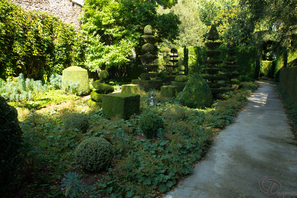 2019-aout-22-DSC08423