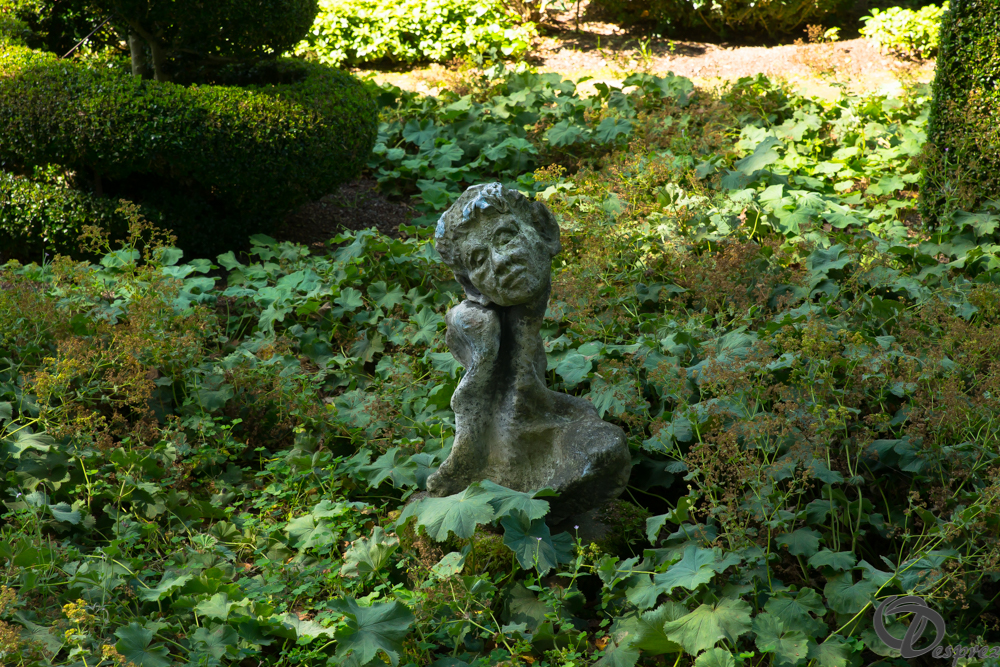 2019-aout-22-DSC08424