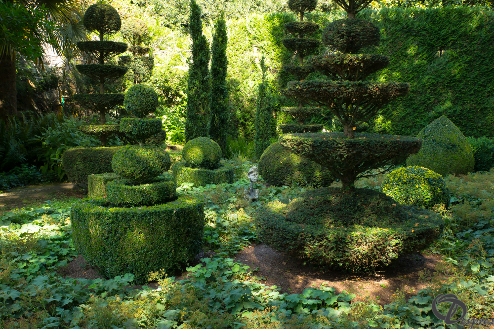 2019-aout-22-DSC08425