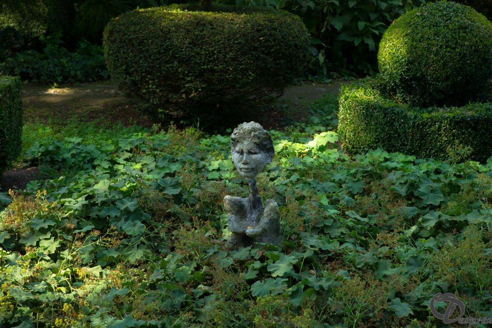 2019-aout-22-DSC08426