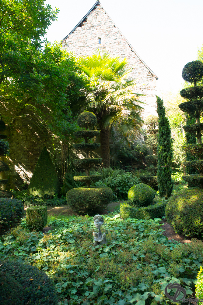 2019-aout-22-DSC08427