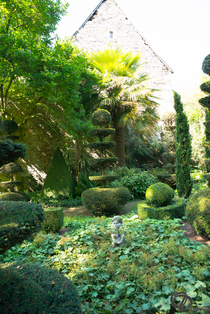 2019-aout-22-DSC08428