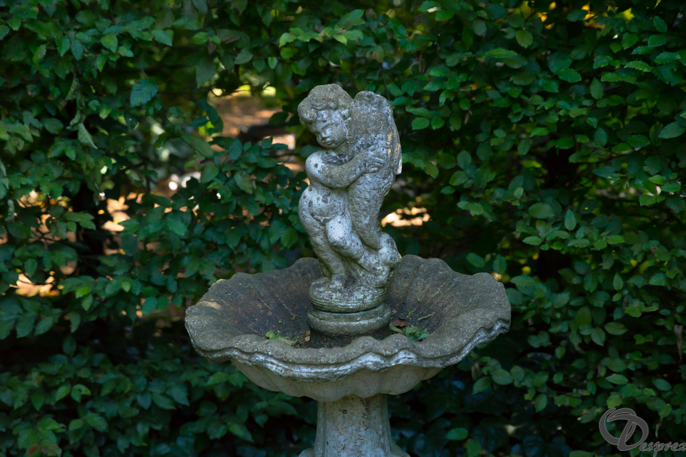 2019-aout-22-DSC08429