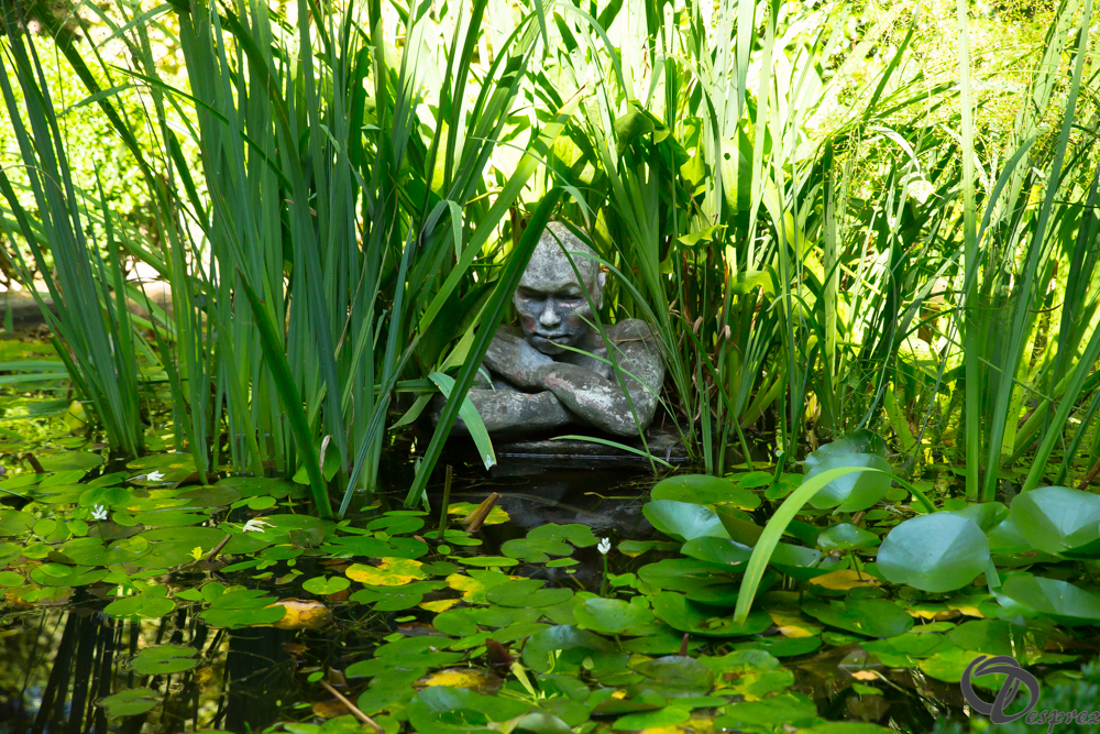 2019-aout-22-DSC08430