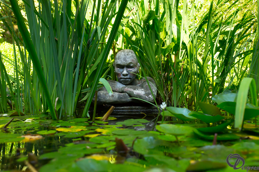 2019-aout-22-DSC08431