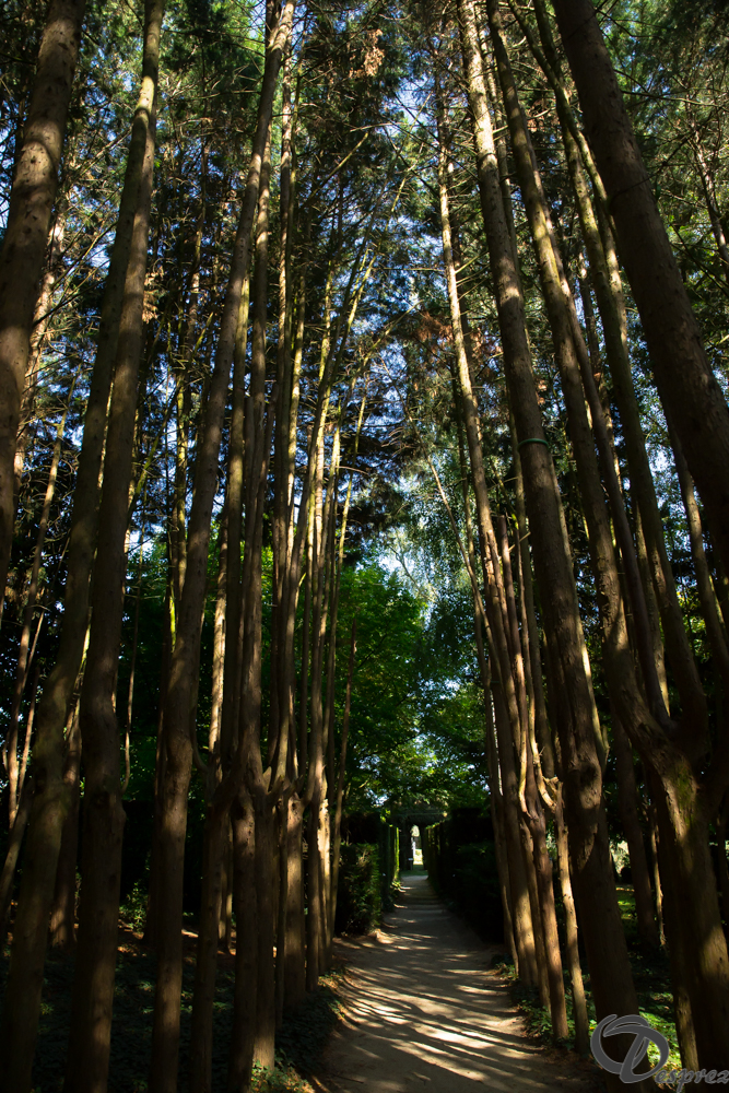 2019-aout-22-DSC08433